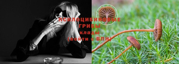 ГАЛЛЮЦИНОГЕННЫЕ ГРИБЫ Алзамай