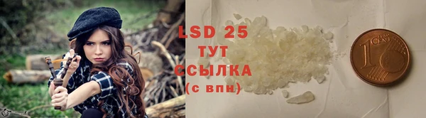 ГАЛЛЮЦИНОГЕННЫЕ ГРИБЫ Алзамай
