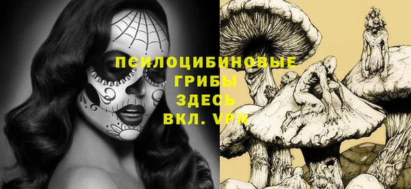ГАЛЛЮЦИНОГЕННЫЕ ГРИБЫ Алзамай