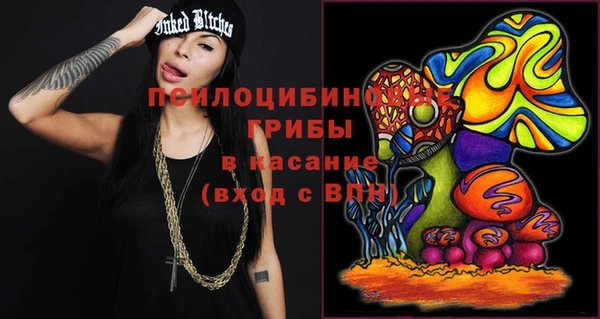 ГАЛЛЮЦИНОГЕННЫЕ ГРИБЫ Алексин