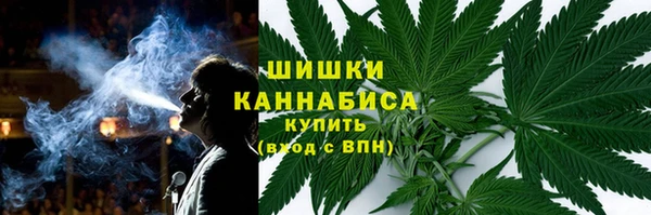 ГАЛЛЮЦИНОГЕННЫЕ ГРИБЫ Алексин